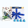 Delightful Choccy Blues gift box featuring assorted chocolates, perfect for any occasion with free NZ delivery.