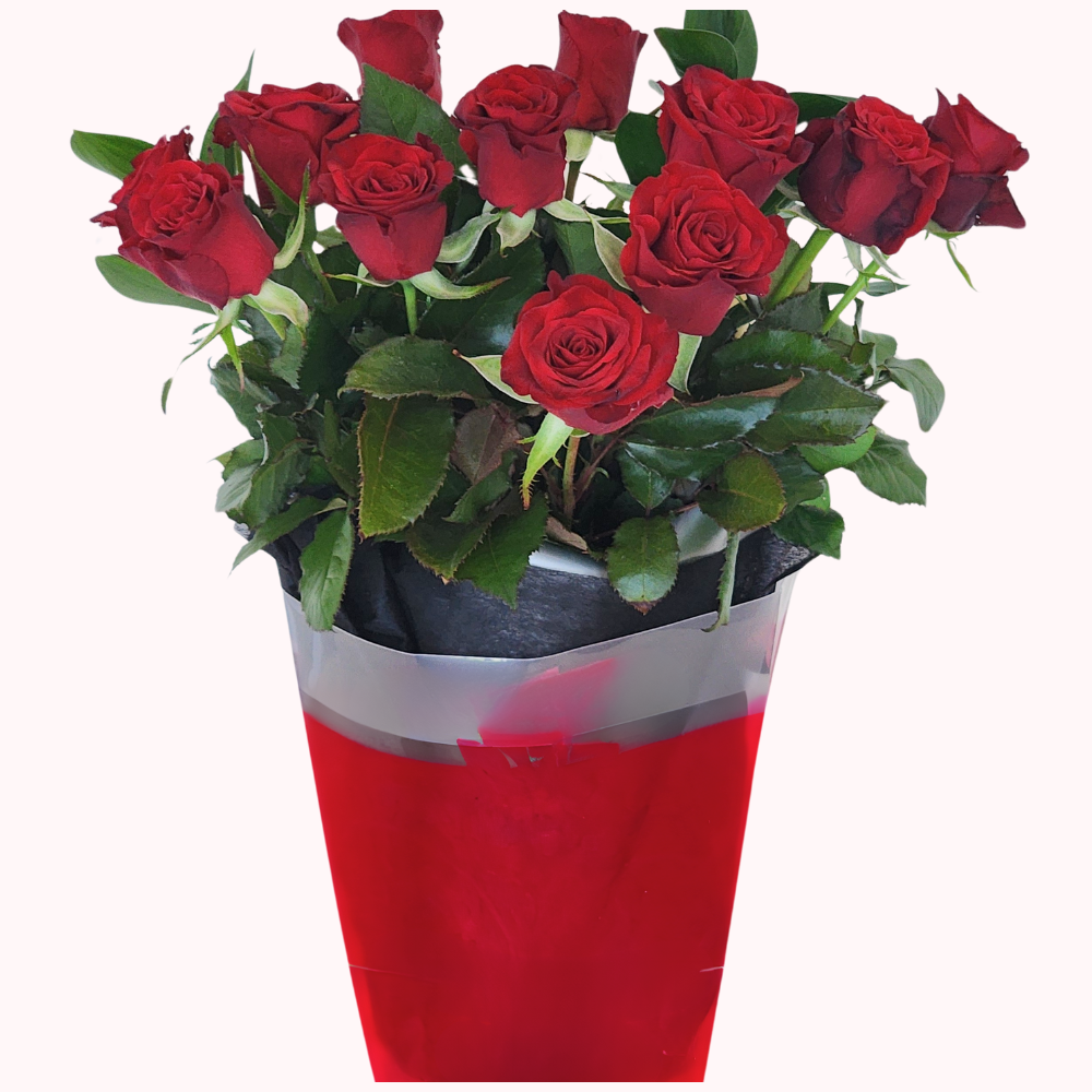 Pre-Order a Dozen Red Roses for Valentine’s Day – Free Auckland Delivery - Beautiful Gifts