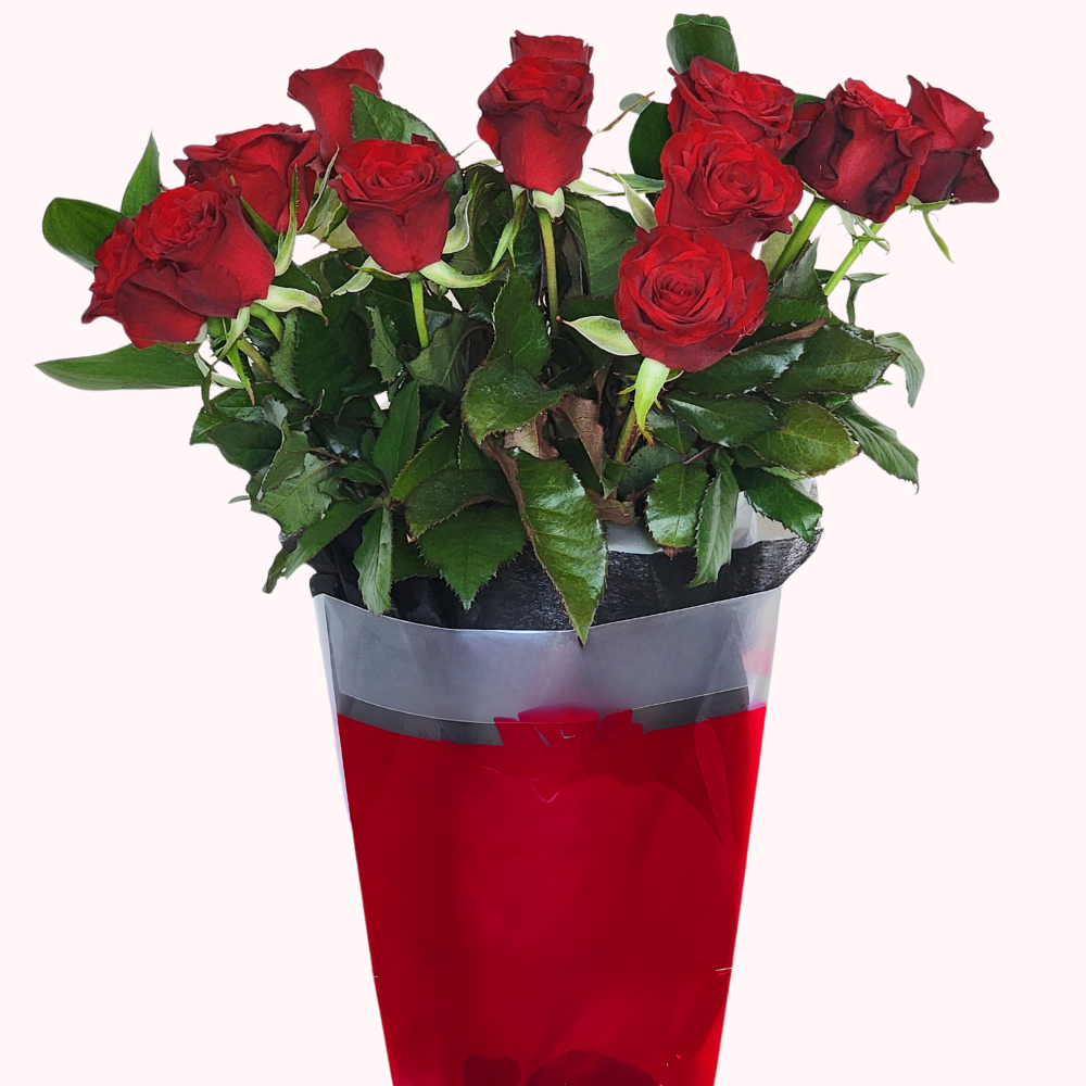 Pre-Order a Dozen Red Roses for Valentine’s Day – Free Auckland Delivery - Beautiful Gifts