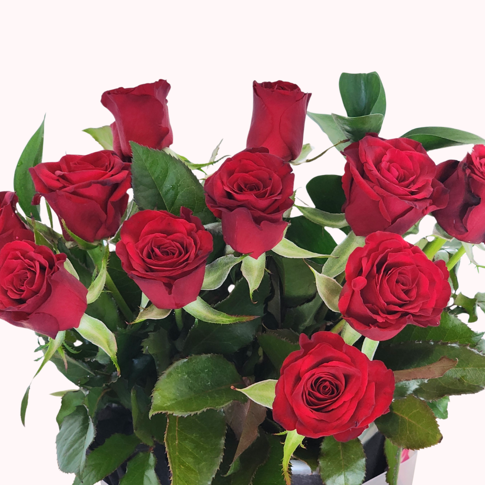 Pre-Order a Dozen Red Roses for Valentine’s Day – Free Auckland Delivery - Beautiful Gifts