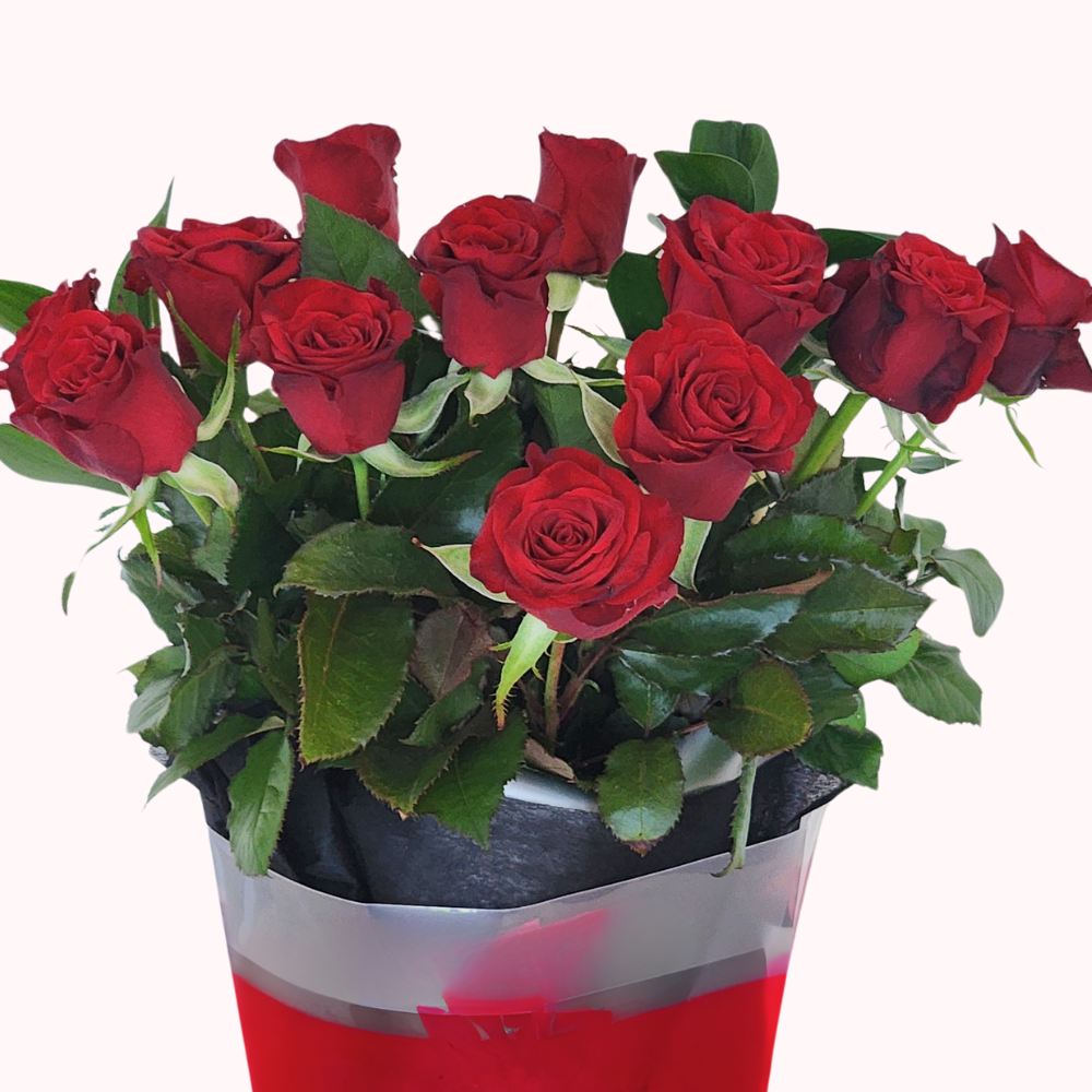 Pre-Order a Dozen Red Roses for Valentine’s Day – Free Auckland Delivery